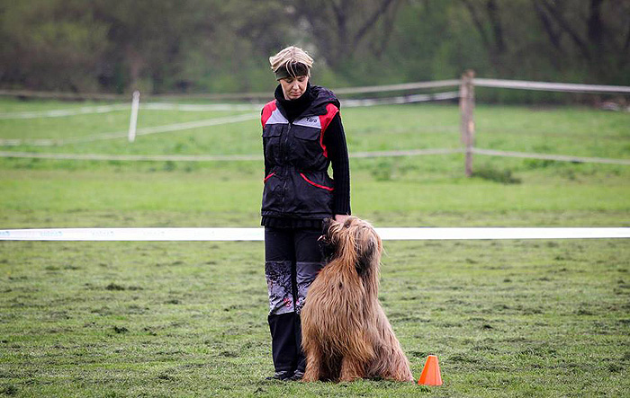 Briard Bheimkirchen